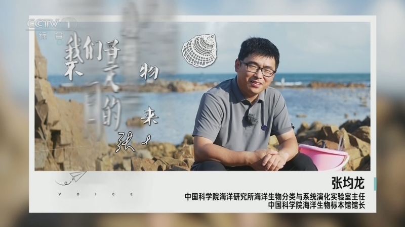 【开讲啦】张均龙：从“深海小飞象”开始 读懂深蓝