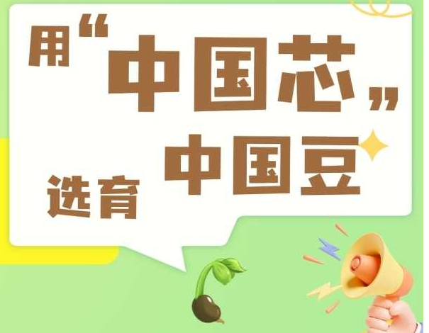 【光明科普】用“中国芯”选育中国豆