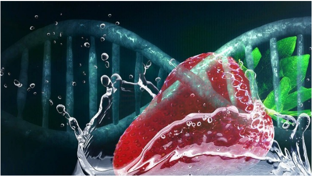化学也生活|草莓季，手把手教你提取草莓DNA