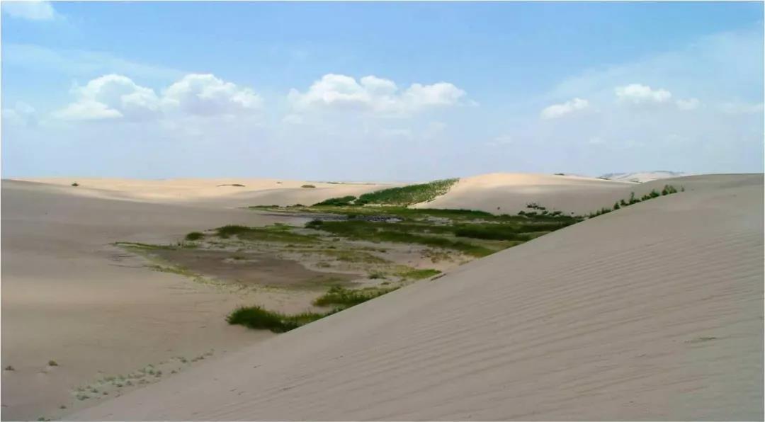 丘间地——沙地中的“生命岛”